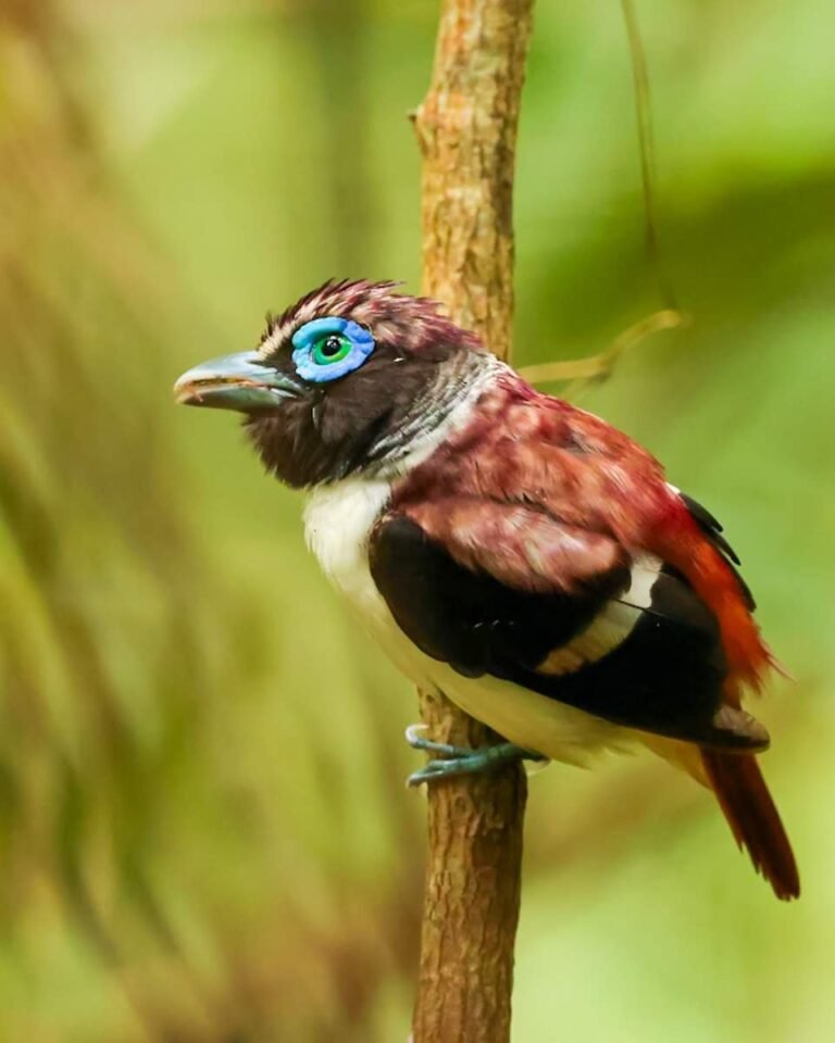 20230827120825 0R8A3085 4 768x960