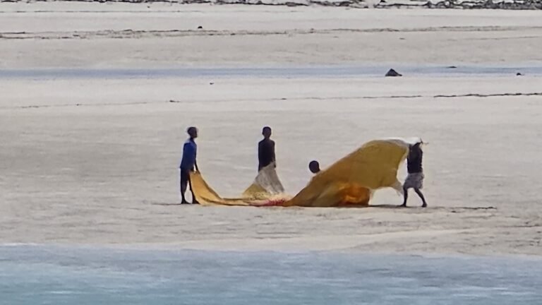 20240904 1041140 768x432