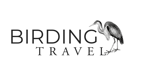 Birding Travel